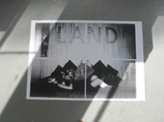 NEVERLAND